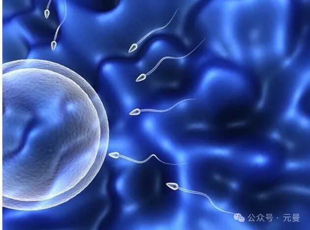 备孕可以吃补硒的要吗（备孕补硒）-硒宝网