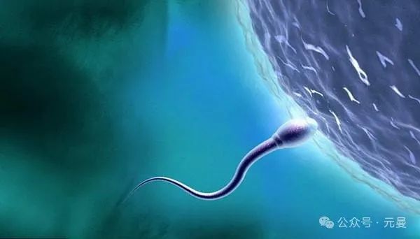 备孕可以吃补硒的要吗（备孕补硒）-硒宝网