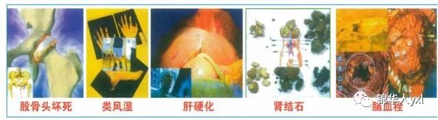 黄瓜粉补钙吗（黄瓜粉补钙吗怎么吃）-硒宝网