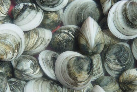 补硒掉头发严重怎么办（补硒对脱发有效果吗）-硒宝网