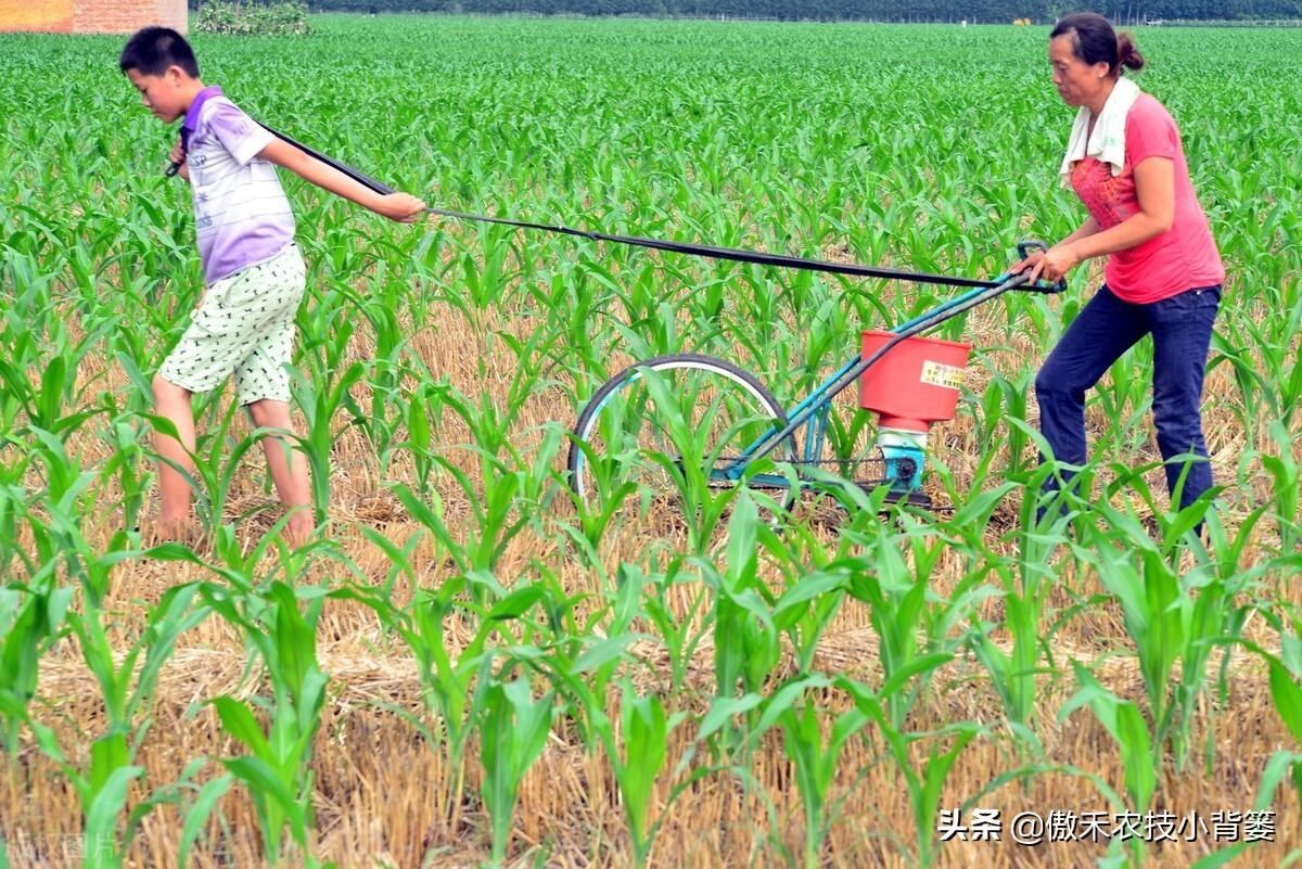 补锌的药物(弱精别补锌不要补锌)-硒宝网