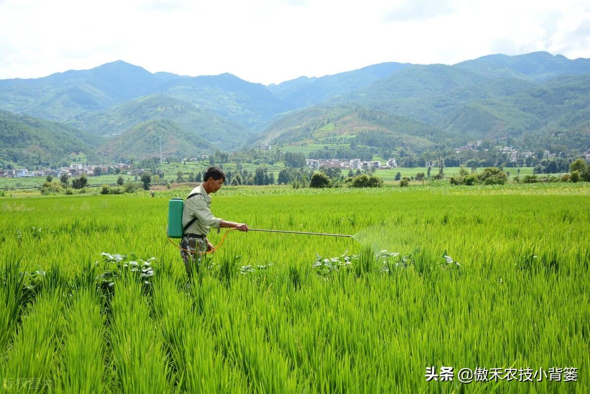 补锌的药物(弱精别补锌不要补锌)-硒宝网