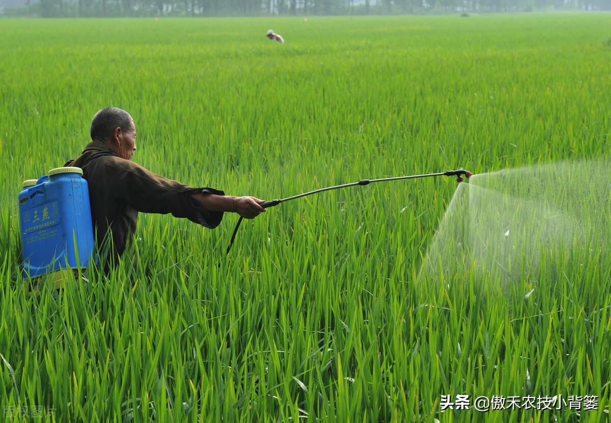 补锌的药物(弱精别补锌不要补锌)-硒宝网