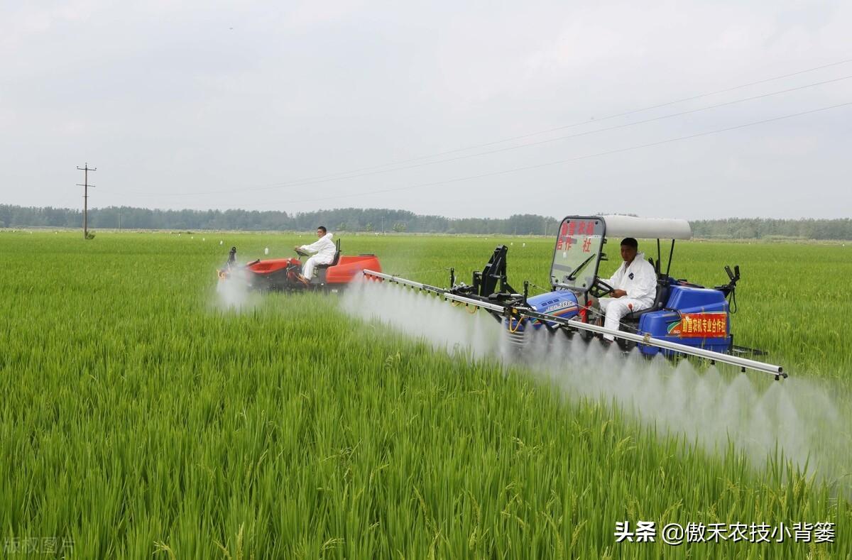 补锌的药物(弱精别补锌不要补锌)-硒宝网