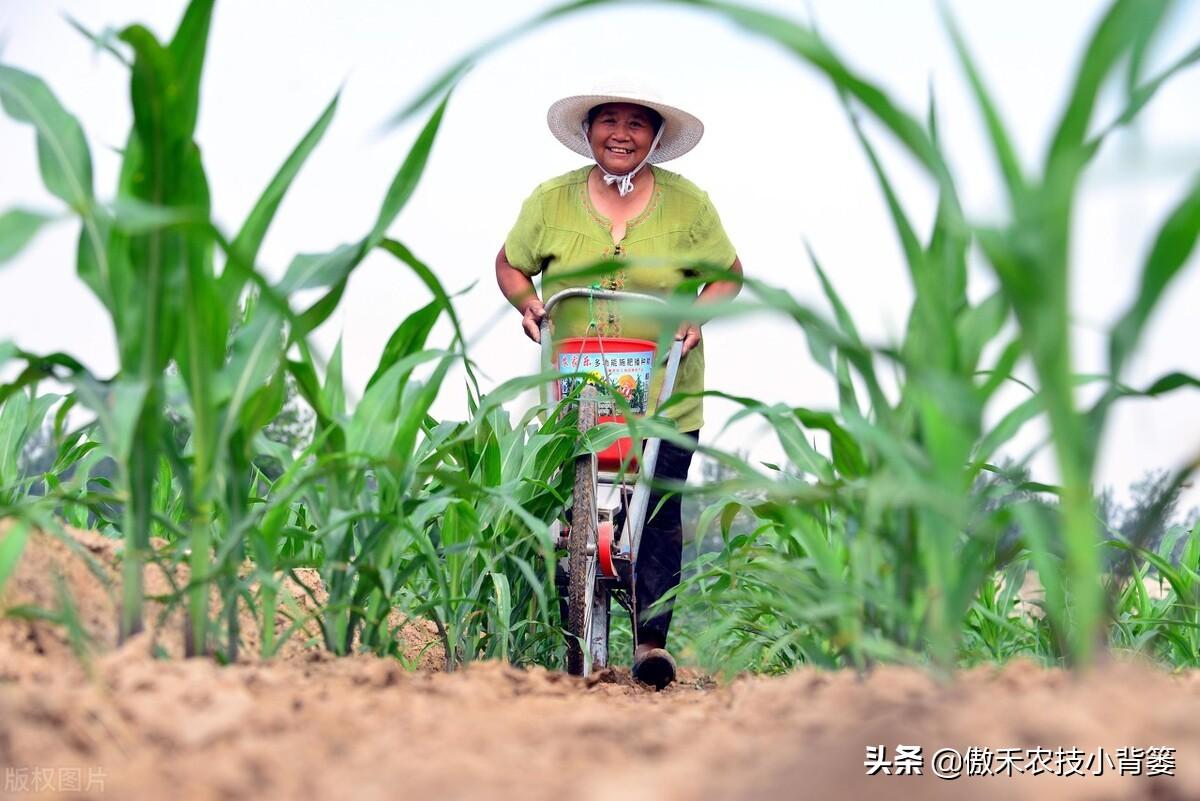 补锌的药物(弱精别补锌不要补锌)-硒宝网
