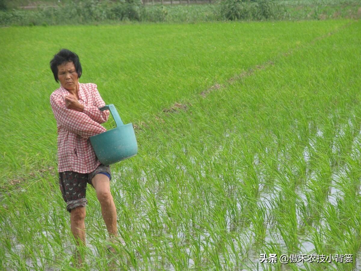 补锌的药物(弱精别补锌不要补锌)-硒宝网