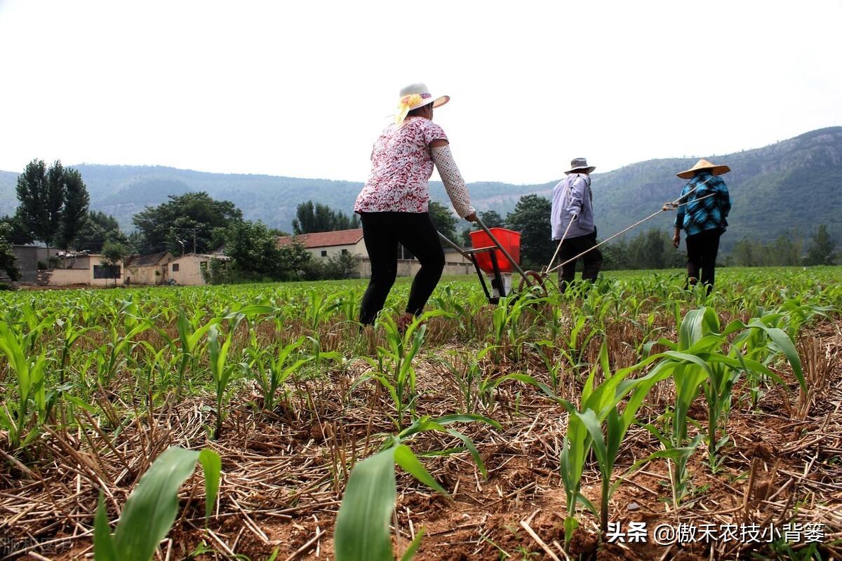 补锌的药物(弱精别补锌不要补锌)-硒宝网