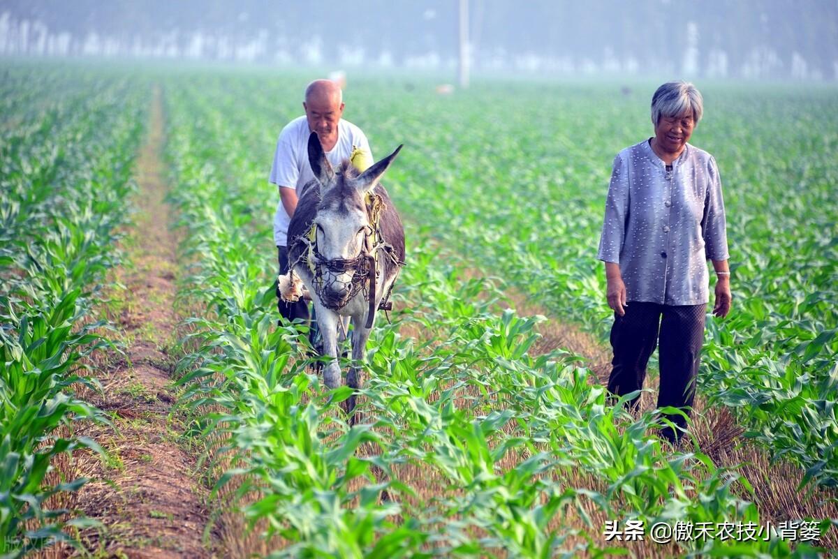 补锌的药物(弱精别补锌不要补锌)-硒宝网
