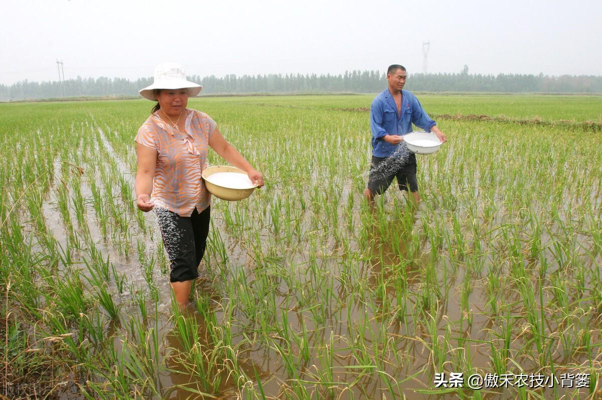 补锌的药物(弱精别补锌不要补锌)-硒宝网