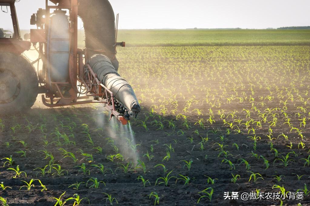 补锌的药物(弱精别补锌不要补锌)-硒宝网