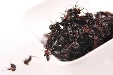 鼻咽癌要补硒吗为什么(硒对鼻咽癌有帮助吗)-硒宝网