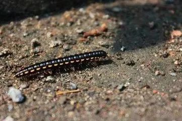 鼻咽癌要补硒吗为什么(硒对鼻咽癌有帮助吗)-硒宝网