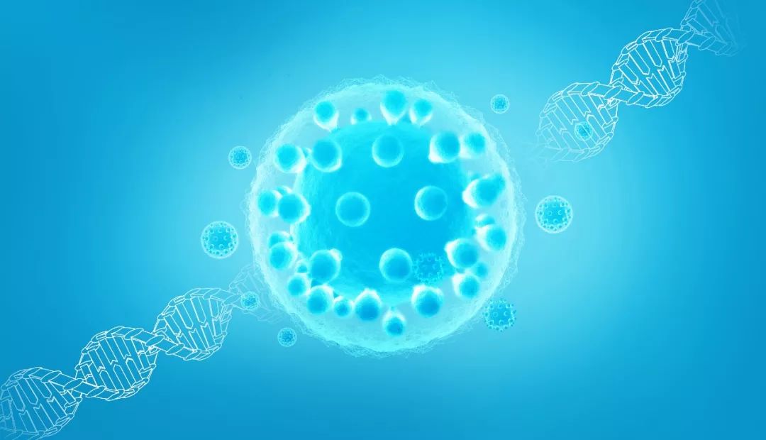 硒和锌哪个补黑色素好（锌对黑色素有什么作用）-硒宝网