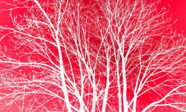 吃降压药怎样能补硒呀(长期服降压药需要补硒吗)-硒宝网