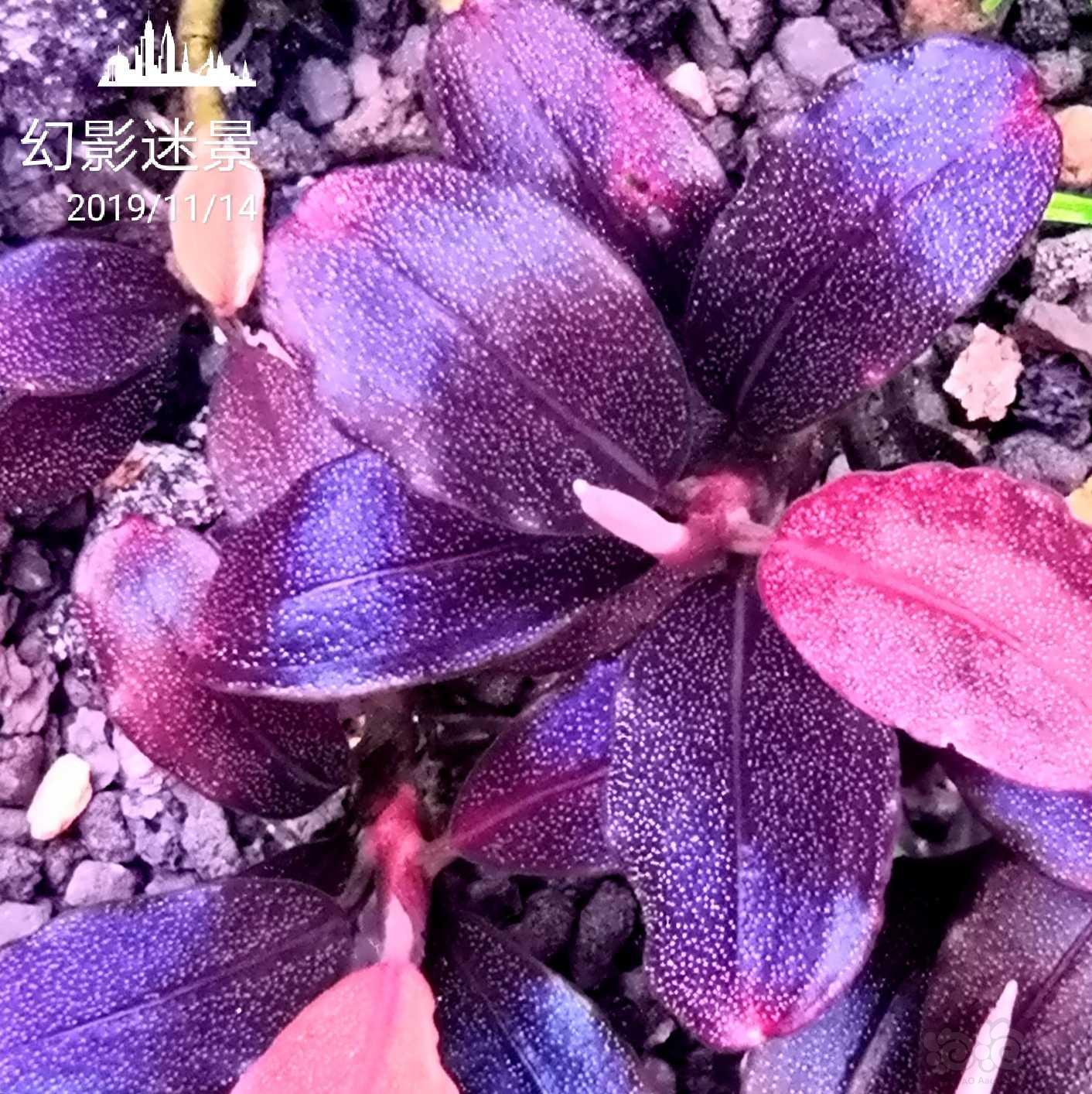 每天晒太阳多久补钙(每天晒补钙太阳有用吗)-硒宝网