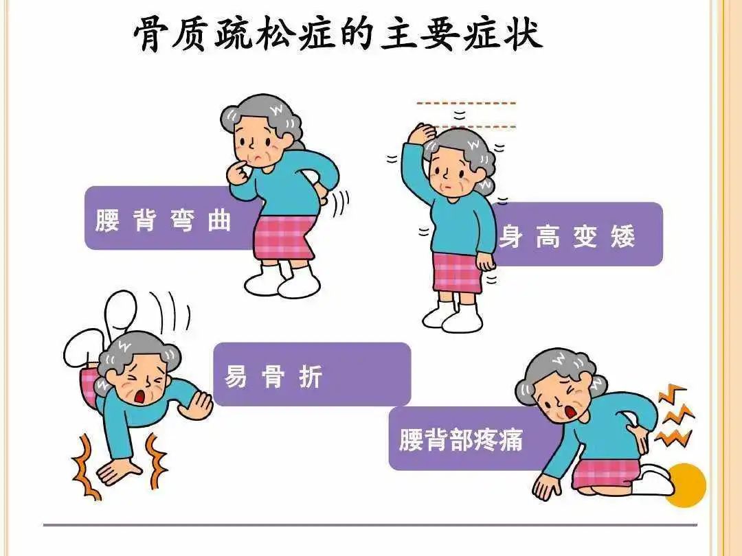 大骨头补钙吗(骨头补钙的食物有哪些)-硒宝网