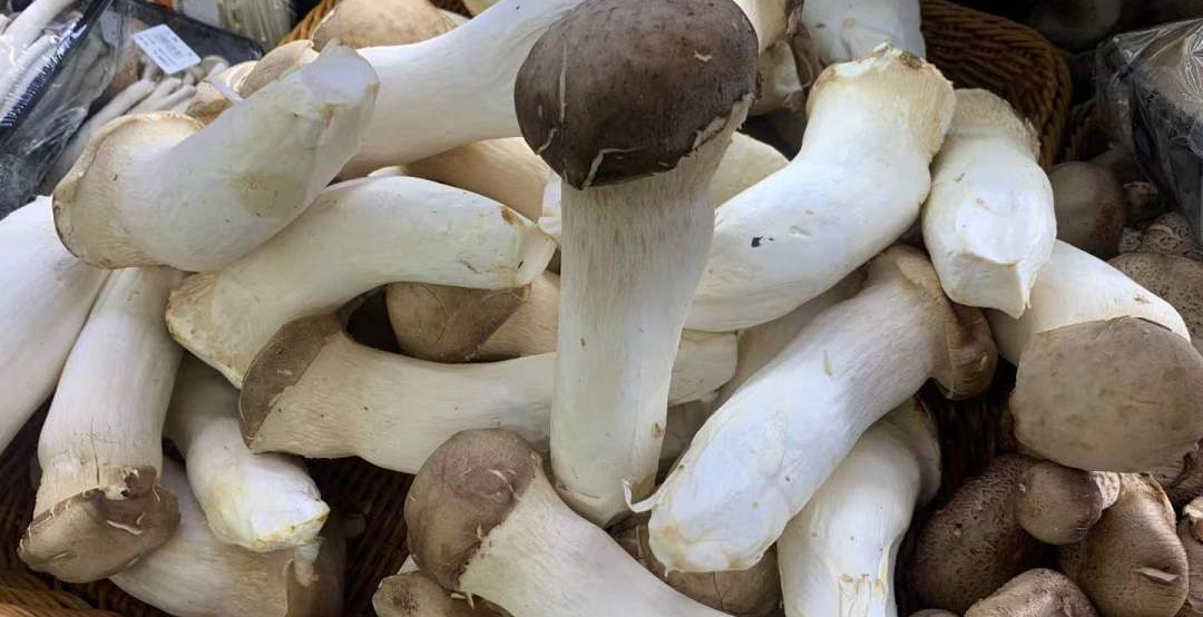 甲减吃补硒的药能行吗(甲减补硒要补多长时间)-硒宝网