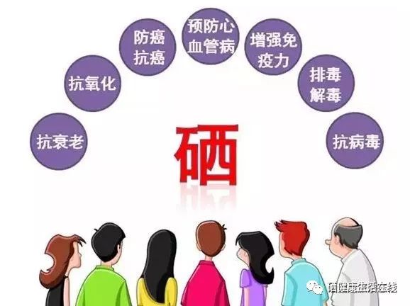 补硒每天的量是多少钱(每天补硒的量)-硒宝网