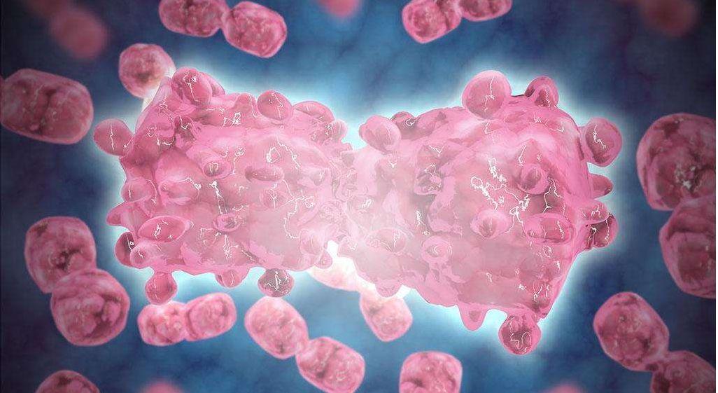 白血病患者可以补硒吗（白血病可以补硒吗）-硒宝网