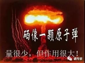 白血病患者可以补硒吗(白血病患者能吃硒吗)-硒宝网