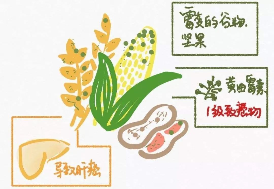 鼻咽癌要补硒吗吃什么(鼻咽癌吃加碘食盐吗)-硒宝网