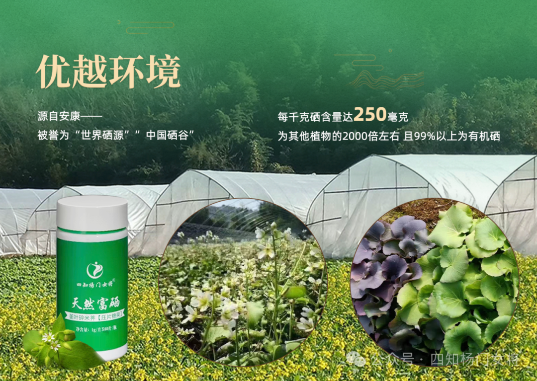 补硒的作用有多少个呢（硒的作用和补硒误区）-硒宝网