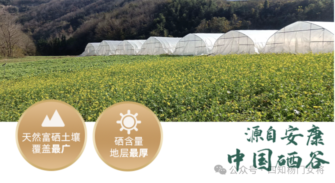 补硒的作用有多少个呢（硒的作用和补硒误区）-硒宝网