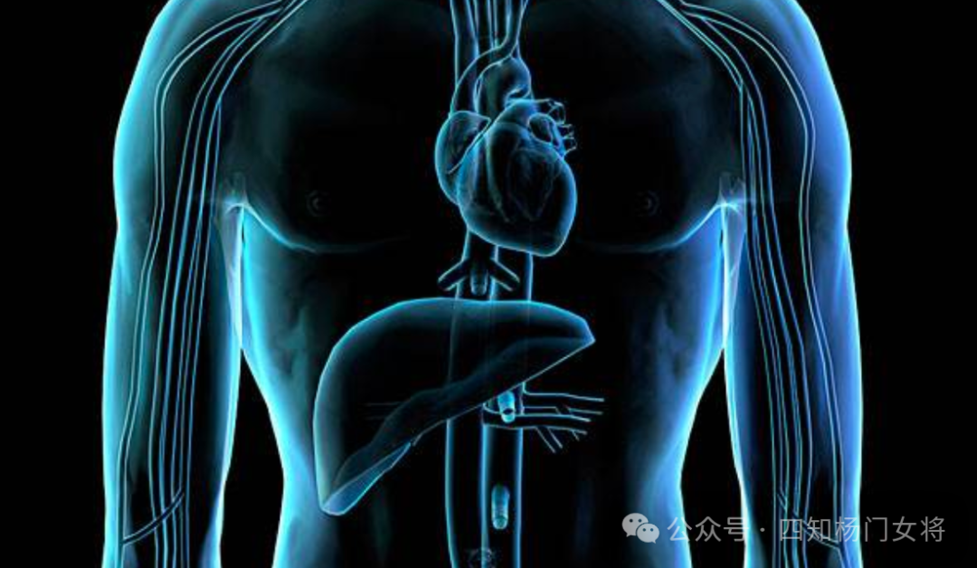 补硒的作用有多少个呢（硒的作用和补硒误区）-硒宝网