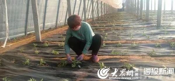 补硒对新冠病毒有用吗(硒与新冠患者的康复)-硒宝网