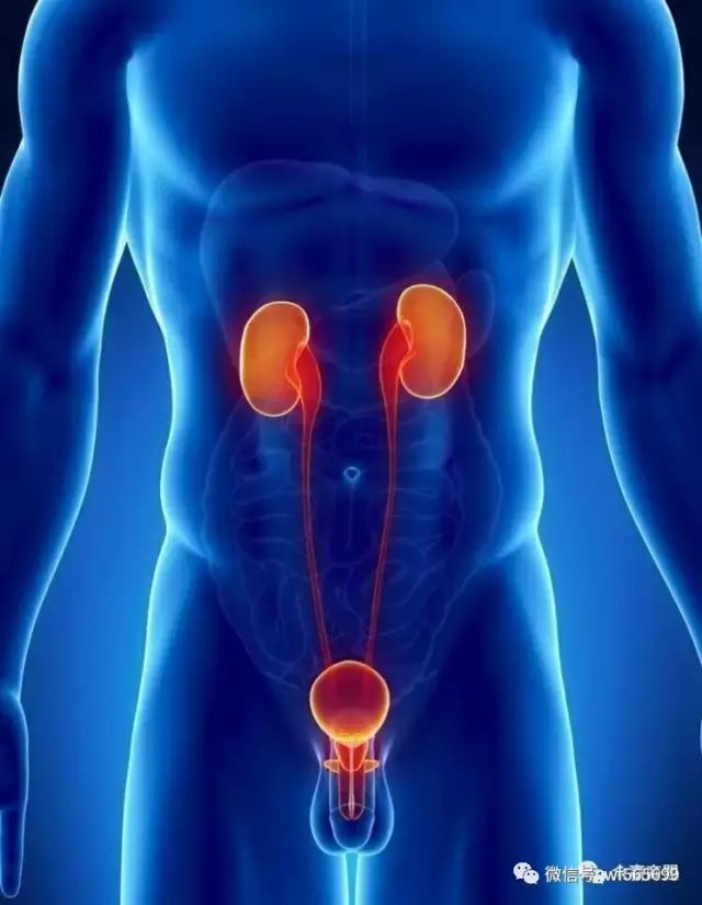 钙十锌镁磷硒铁十八补（钙磷铁锌的食物有哪些）-硒宝网