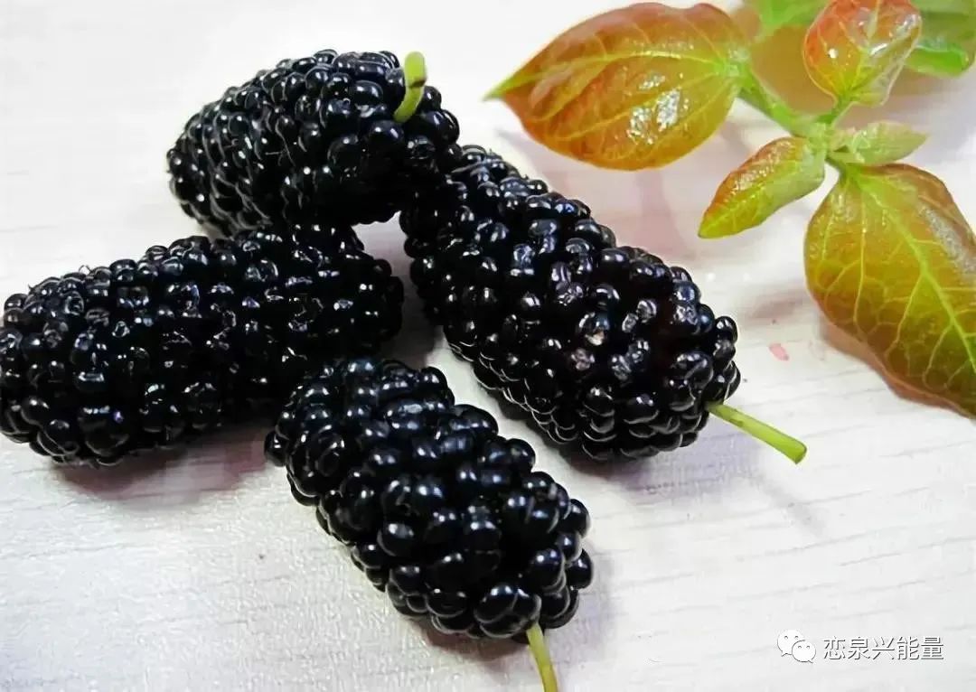 钙十锌镁磷硒铁十八补(磷钙锌镁补铁硒的作用)-硒宝网