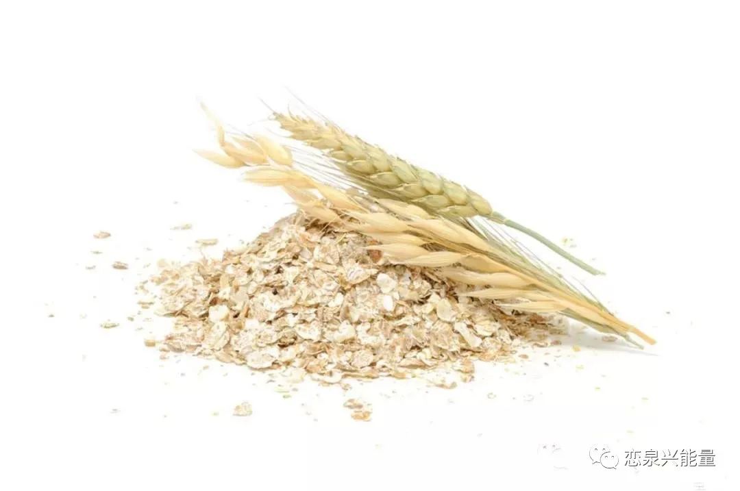 钙十锌镁磷硒铁十八补(磷钙锌镁补铁硒的作用)-硒宝网