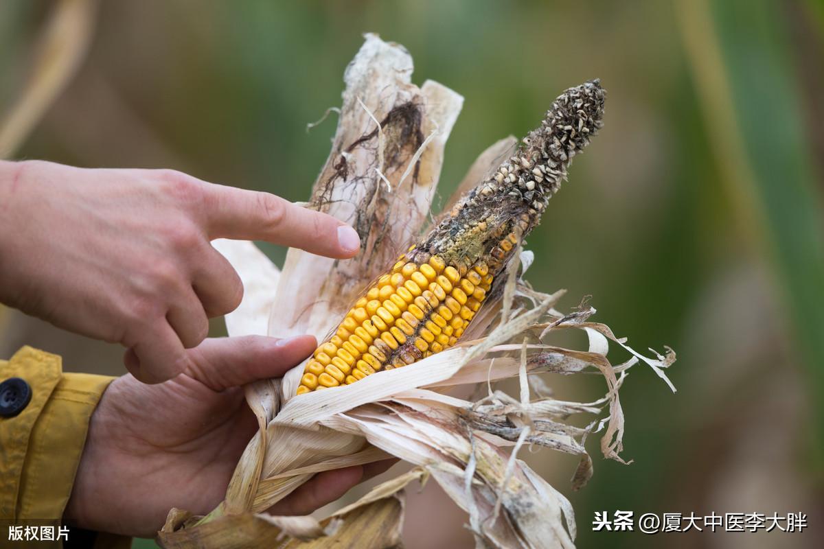 直肠癌手术后能补硒吗（直肠癌手术后可以吃钙片吗）-硒宝网