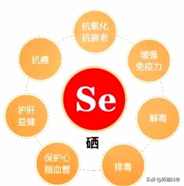补硒的几大功能是啥呢(硒能补充什么)-硒宝网