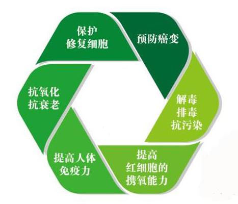 畸胎瘤手术后能补硒吗（畸胎瘤手术后能吃大蒜吗）-硒宝网