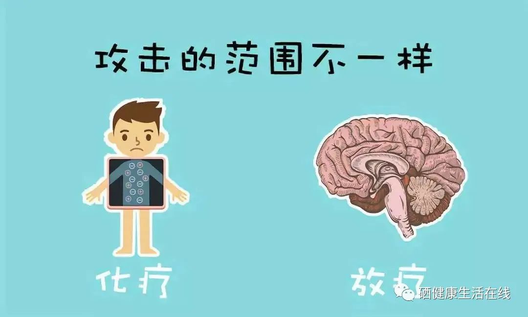 补硒能不能预防食管癌(补硒能有效的预防)-硒宝网