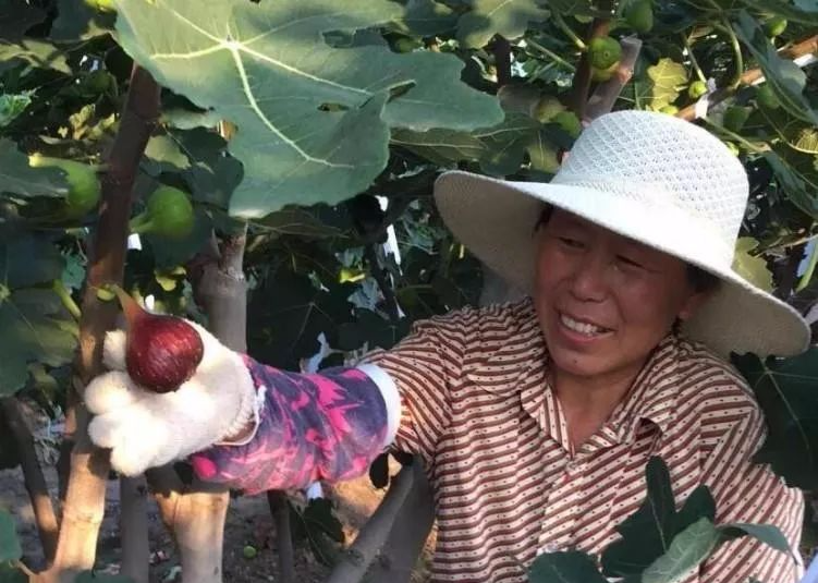 三种补硒的食物有哪些(食补硒吃什么好)-硒宝网