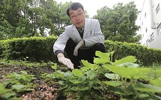 中国人缺硒怎么补的呢（中国人缺不缺硒）-硒宝网