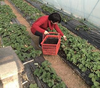 中国人缺硒怎么补的呢（中国人缺不缺硒）-硒宝网