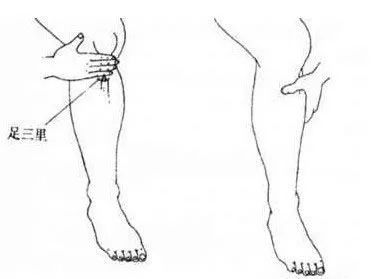 断断续续补硒有效果吗（断续有什么功效）-硒宝网
