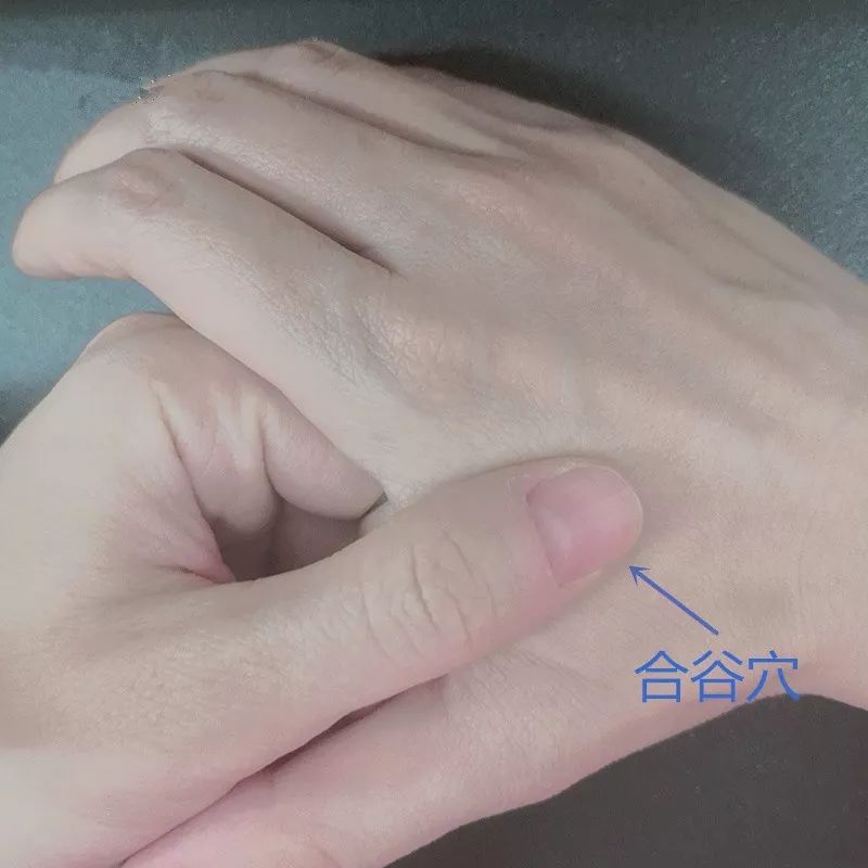 断断续续补硒有效果吗（断续有什么功效）-硒宝网