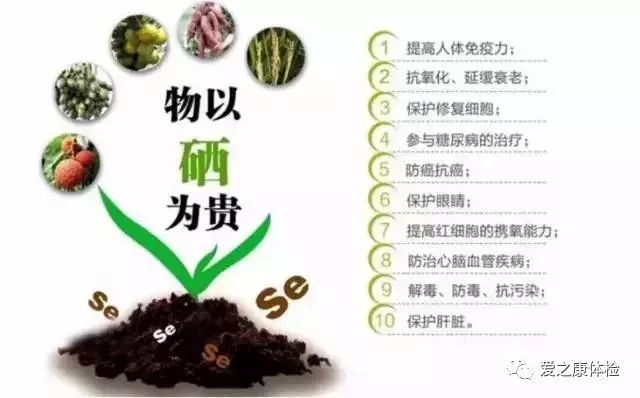 多种维生素用不用补硒（用维生素补种硒好吗）-硒宝网