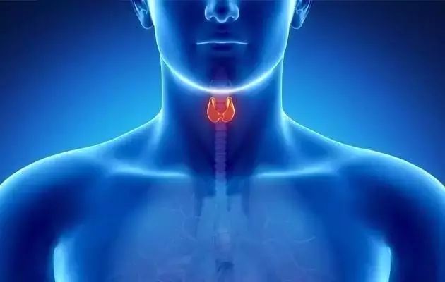 卵巢癌能吃补硒的药吗(卵巢癌能吃硒片吗)-硒宝网