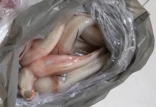 吃骨头补钙吗(骨头补钙吃什么)-硒宝网