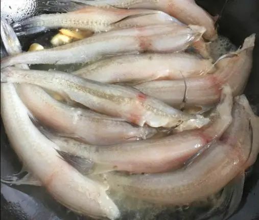 吃骨头补钙吗(骨头补钙吃什么)-硒宝网