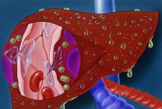 牛用的补硒的药有哪些（牛补硒过量多长时间出现反应）-硒宝网