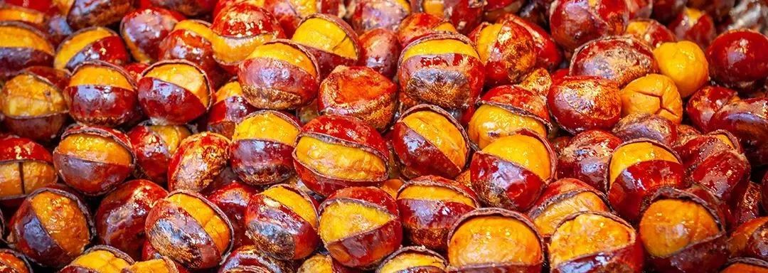 牛用的补硒的药有哪些（牛补硒用什么药）-硒宝网