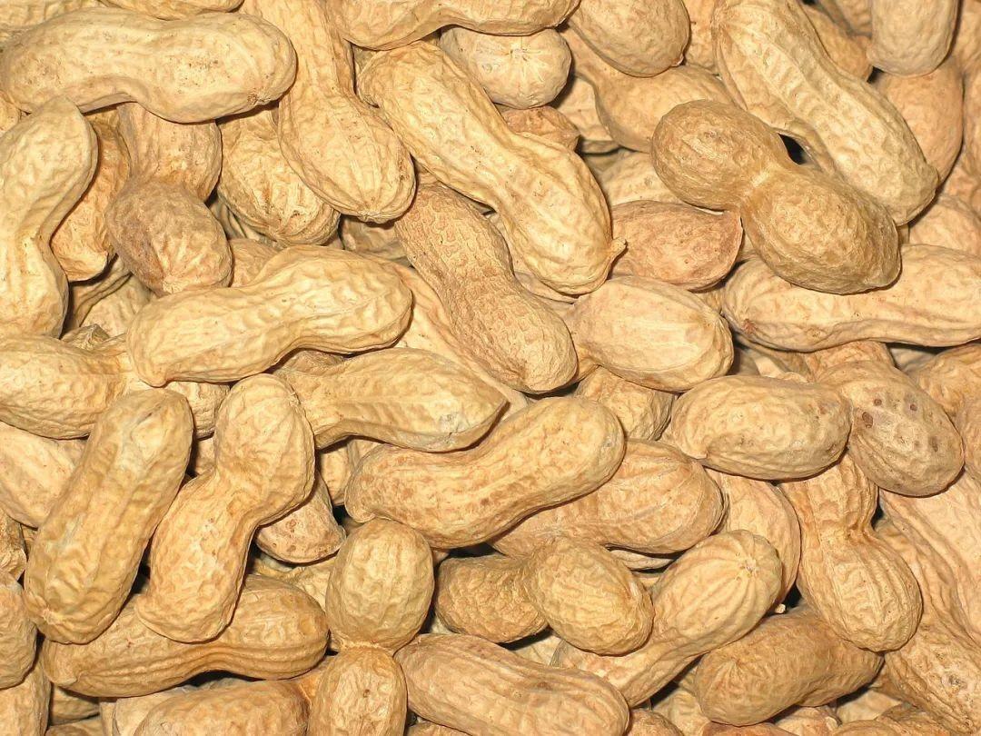 补硒会升高血压吗知乎（补硒血压更高了）-硒宝网