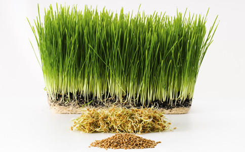 补硒提高雄性激素分泌(补充雄性激素的好处)-硒宝网