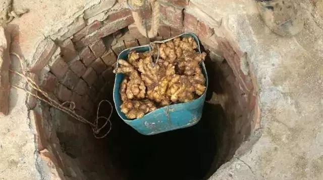 来大姨妈可以补硒吗吗(大姨妈可以吃硒吗)-硒宝网